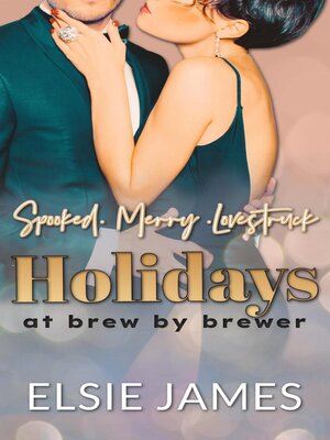 cover image of Holidays at Brew by Brewer
